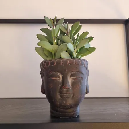 Апартаменты Im Zentrum Von Leverkusen, Helle 3-zimmerwohnung 80 M2 Леверкузен