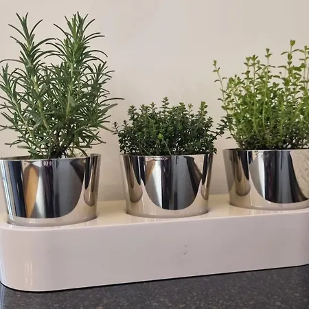 Im Zentrum Von Leverkusen, Helle 3-zimmerwohnung 80 M2